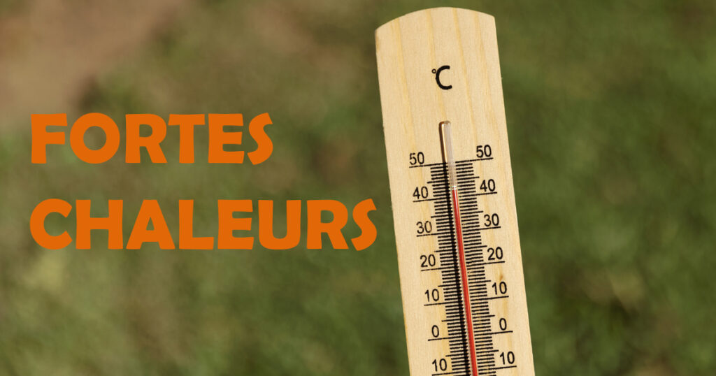 Fortes chaleurs